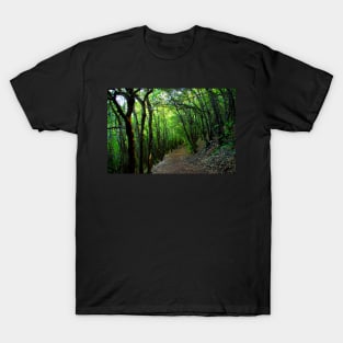 View on the way to the Lame Rosse with oblique trees T-Shirt